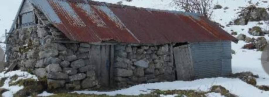 Cabañas Sutché Imagen de perfil