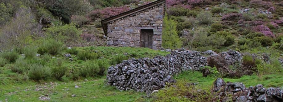 Refugio de Salentinos Imagen de perfil