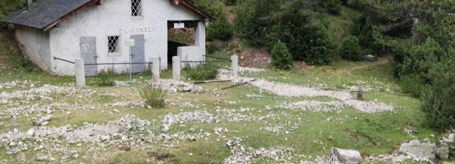 Refugio del Gònec Imagen de perfil