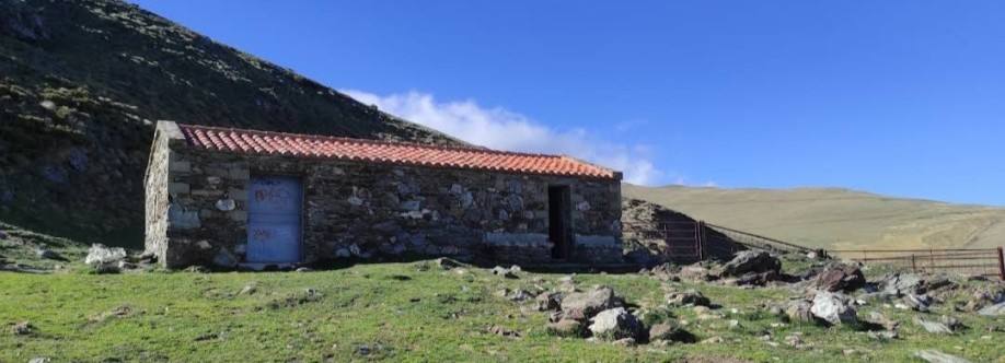 Refugio Claus Imagen de perfil