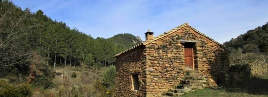 Refugio Palero Imagen de perfil