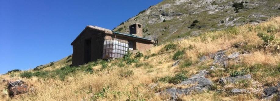 Refugio Cubilar de las Memorias Imagen de perfil