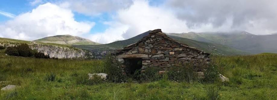 Mallata Carduso de Sesa Imagen de perfil