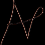 avcachon Profile Picture