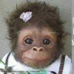 Chispilla Pilla Profile Picture