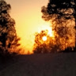 Ricardo Ingles Profile Picture