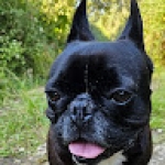 Guille G.L. Profile Picture