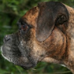 Fuco Profile Picture