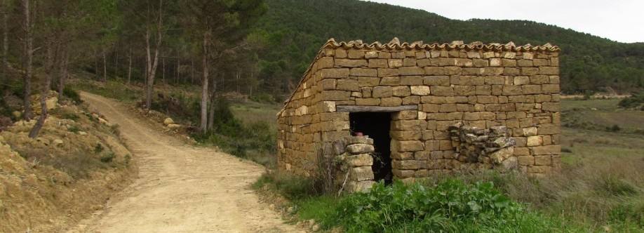 Refugio Puisevilla Imagen de perfil