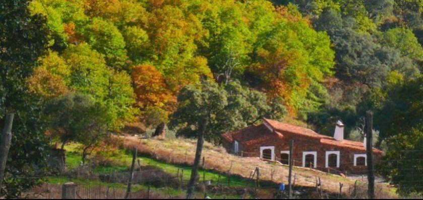 Casa Rural Refugio Bonales Imagen de perfil