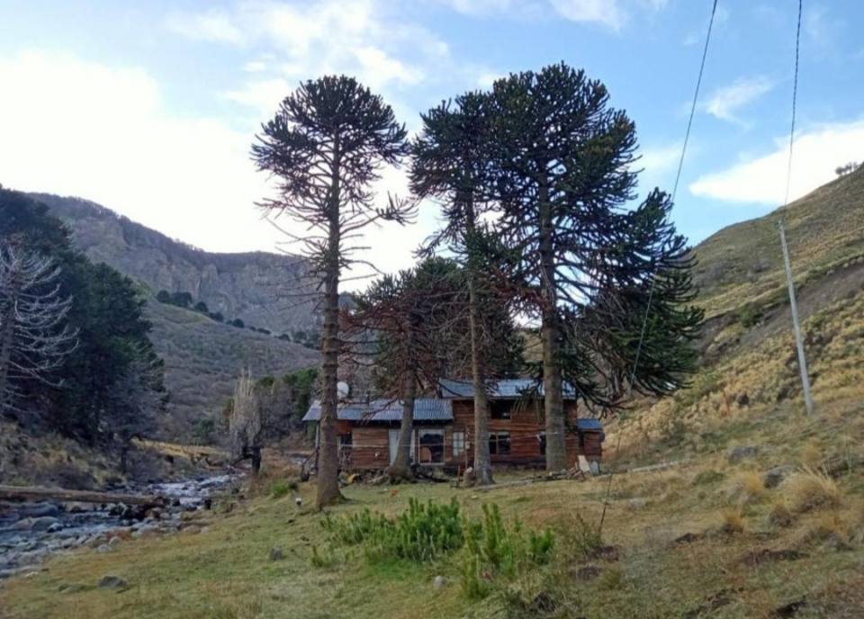 Refugio Huellas Imagen de perfil