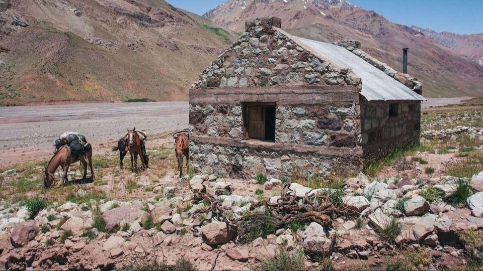 Refugio Polleras Imagen de perfil